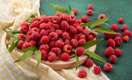 Польза и вред малины: 7 свойств ягоды, о которых вы могли не знать