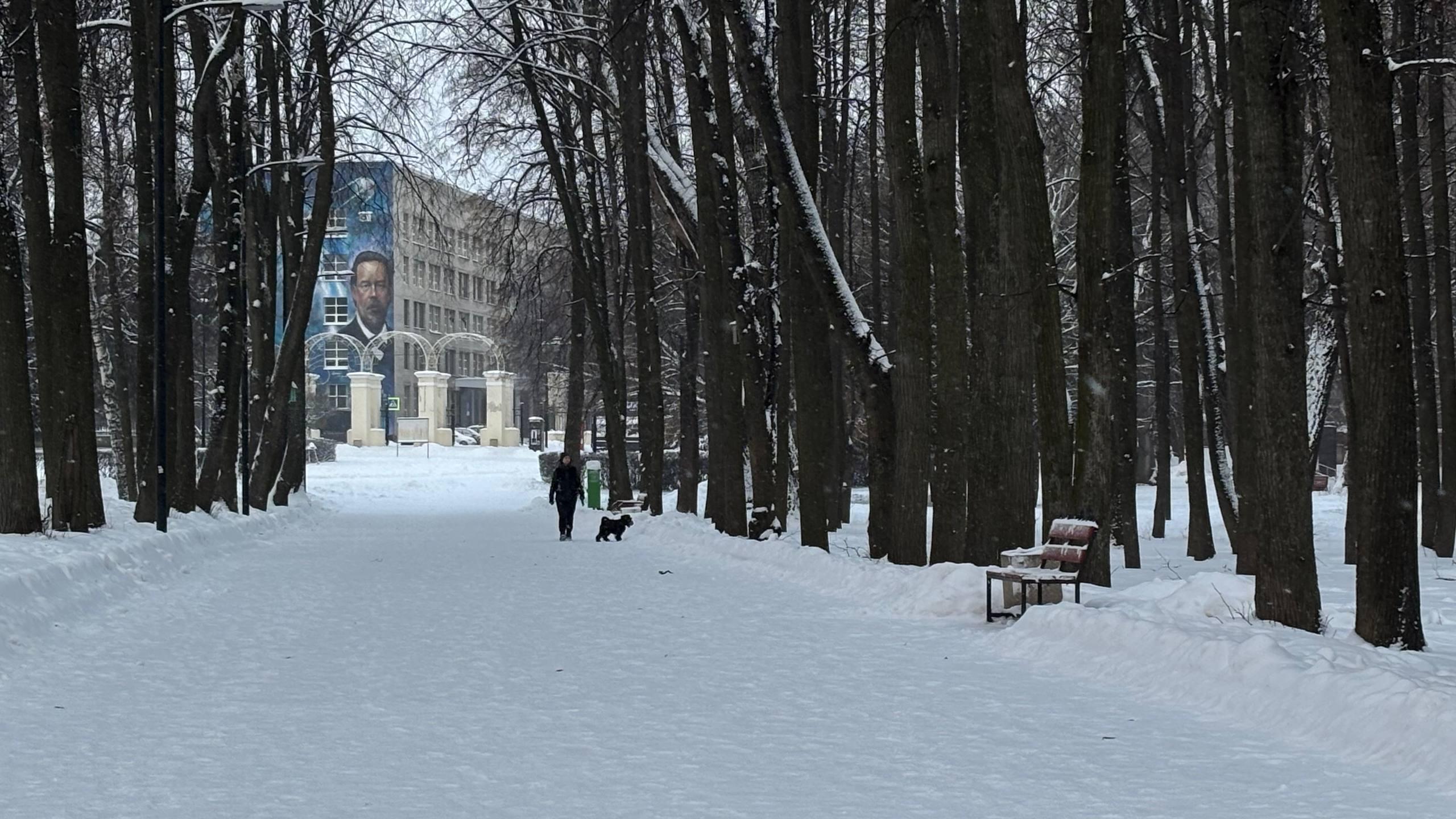 «Справились»: губернатор прогулялся в снегопад, но не увидел проблем с уборкой в Рязани