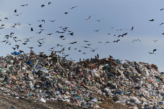 Скопления мусора активисты называли мусорным коллапсом | 142.ru