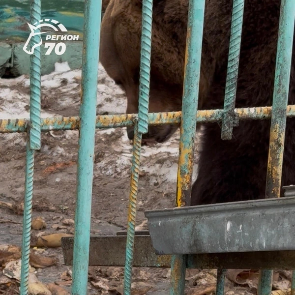 Источник: «Регион-70» / vk.com