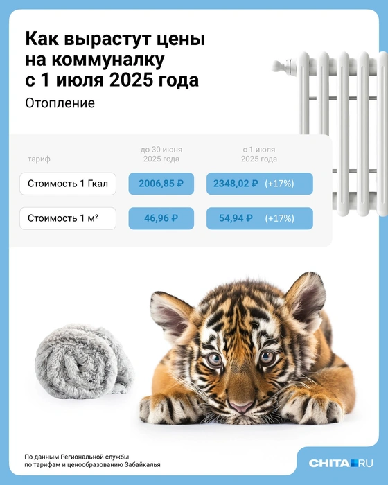 Источник: Евгения Бикунова / Городские медиа
