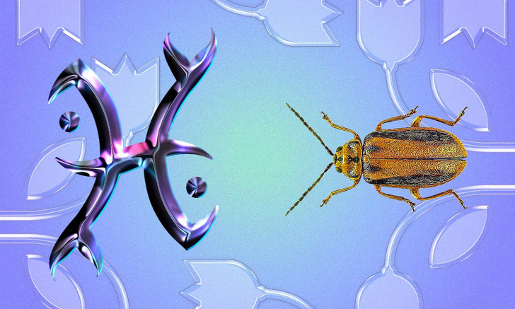 Странный гороскоп: какое ты домашнее насекомое