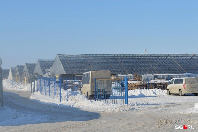 Физически производство находится под Оренбургом — в селе Дедуровка | Источник: Анастасия Баринова / 56.RU
