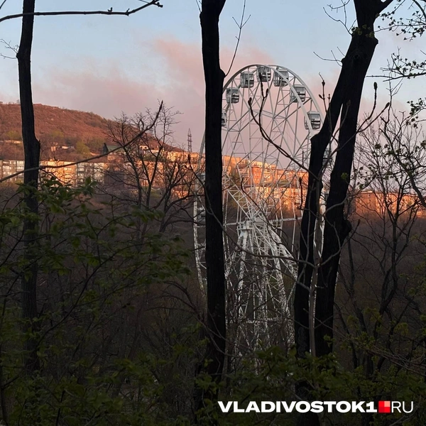 Источник: Елена Буйвол / VLADIVOSTOK1.RU