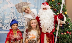 Лучше выдать папе мешок и нацепить ватную бороду? Сколько стоит заказать Деда Мороза на Новый 2026 год