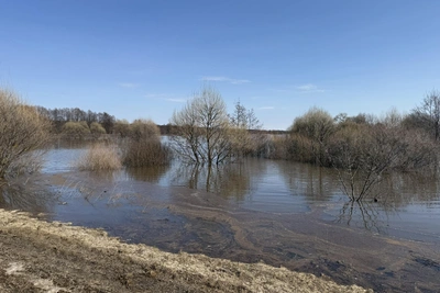 Лесопарк в Рязани предупредил об опасности подтопления