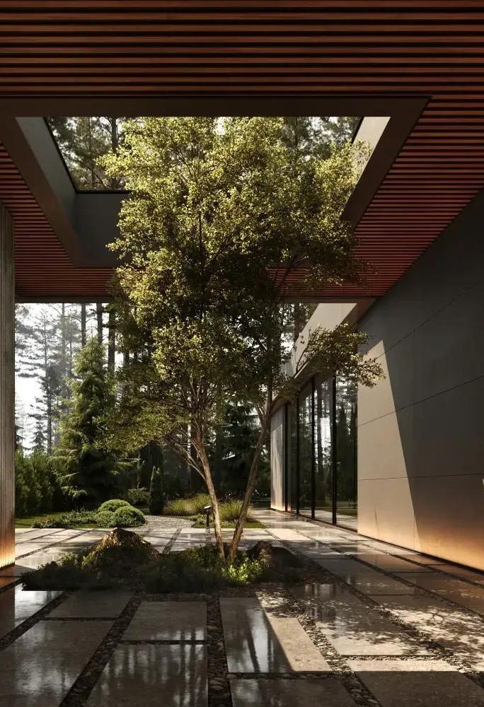 Источник: Studia 54