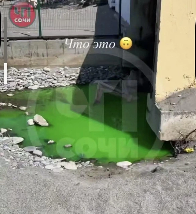 Цвет воды ужасает | Источник: chpsochi_chat/t.me