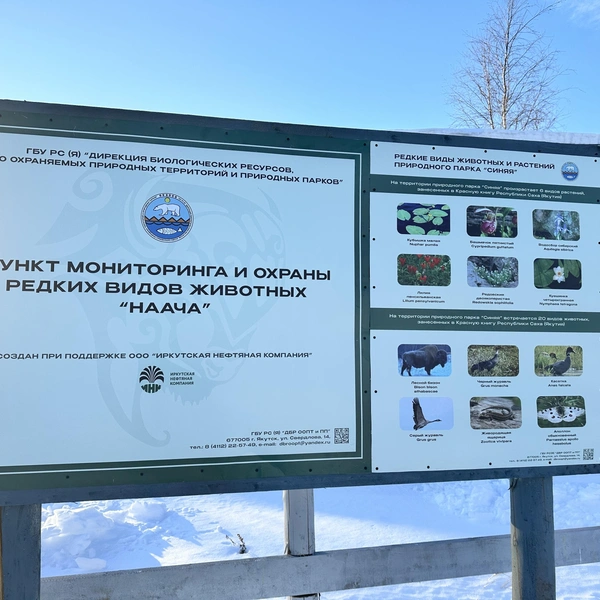 Источник: Илья Константинов / 14.RU