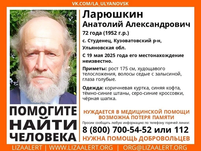 Мужчину ищут волонтеры | Источник: vk.com/la_ulyanovsk