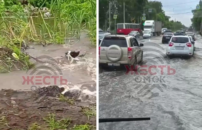 На одной полосе образовался небольшой затор | Источник: «Жесть Омск» / t.me