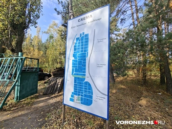 Источник: Алёна Воропаева / Voronezh1.ru