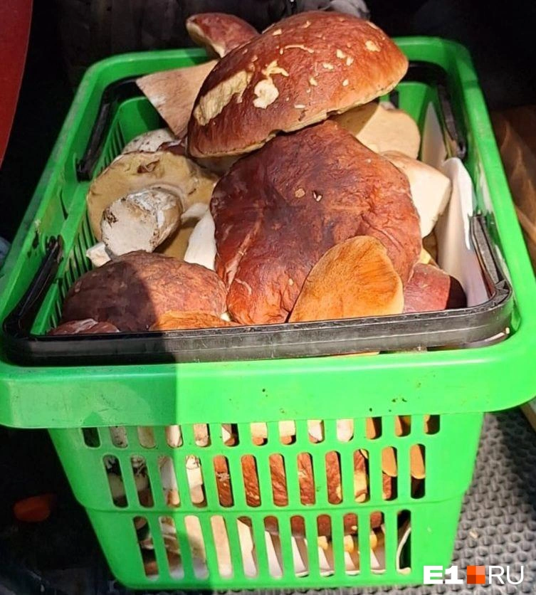 Источник: читательница E1.RU 