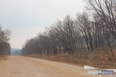 В Приамурье подвели итоги защиты лесов от пожаров