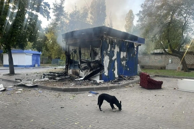 505 дронов атаковали Россию за ночь: погибшие и разрушения