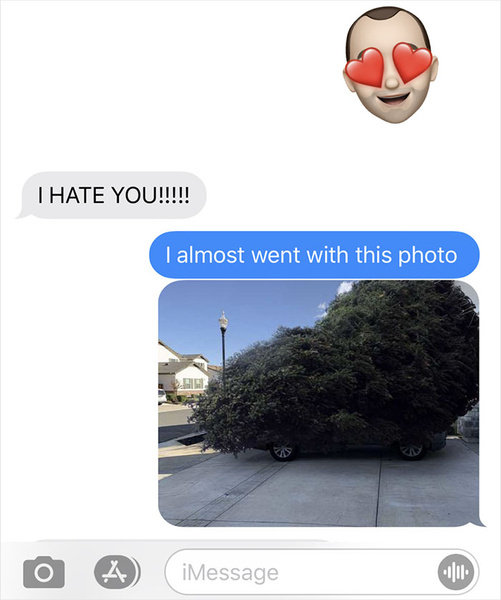 Муж поехал покупать елку и потроллил жену фотографиями