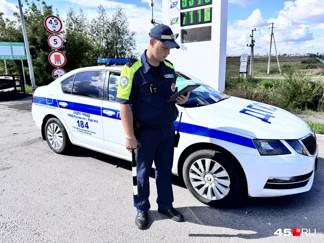 Программой «Паутина» в ГАИ пользуются с 2022 года | Источник: Юлия Король / 45.RU