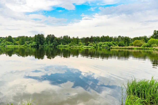 Вода спокойная — хорошее место, чтобы покататься на сапборде | Источник: Максим Воробьев