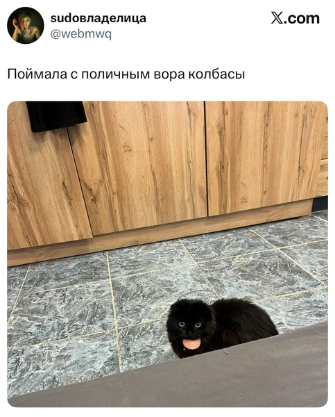 Источник: X (Twitter)