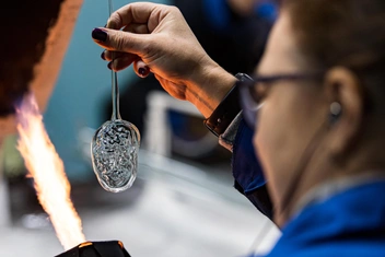 А это гольё. Пока еще совсем не похоже на бутерброд с икрой | Источник: Мария Ленц / NGS24.RU