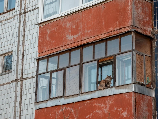 Обитатель панельной высотки | Источник: Александр Куренной / 76.RU