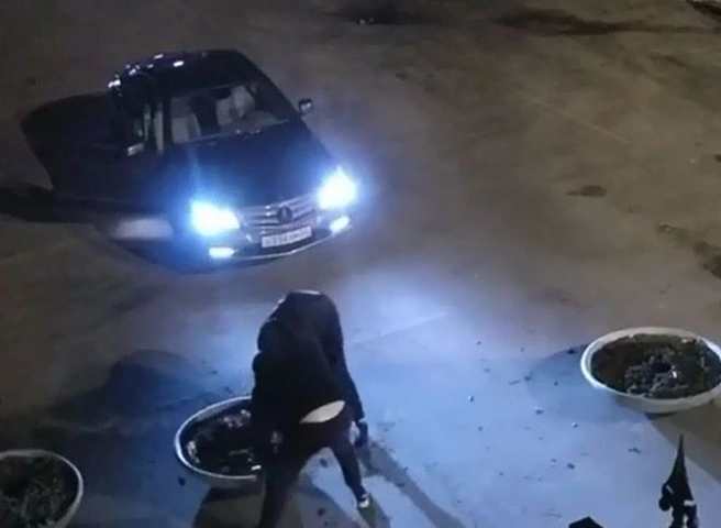 В Рязани двое молодых людей сдвинули клумбу и проехали на машине по Лесопарку | ya62.ru