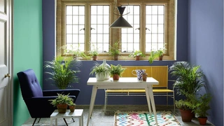 Тренды 2023: как использовать краску в интерьере, чтобы он выглядел модно