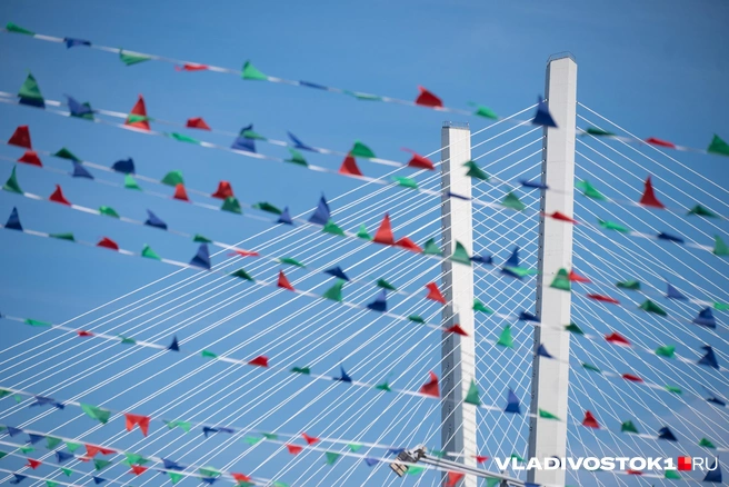 День расписан с утра до вечера | Источник: Елена Буйвол / VLADIVOSTOK1.RU