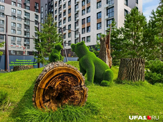 Красиво в целом сделано | Источник: Булат Салихов / UFA1.RU