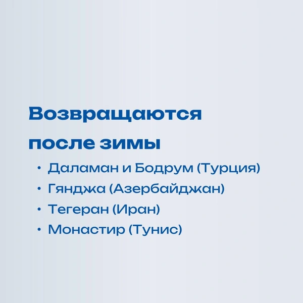 Источник: Аэропорт Пулково