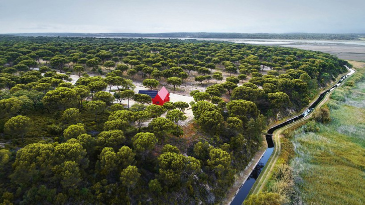 Total red: яркий дом в Португалии (фото 2)