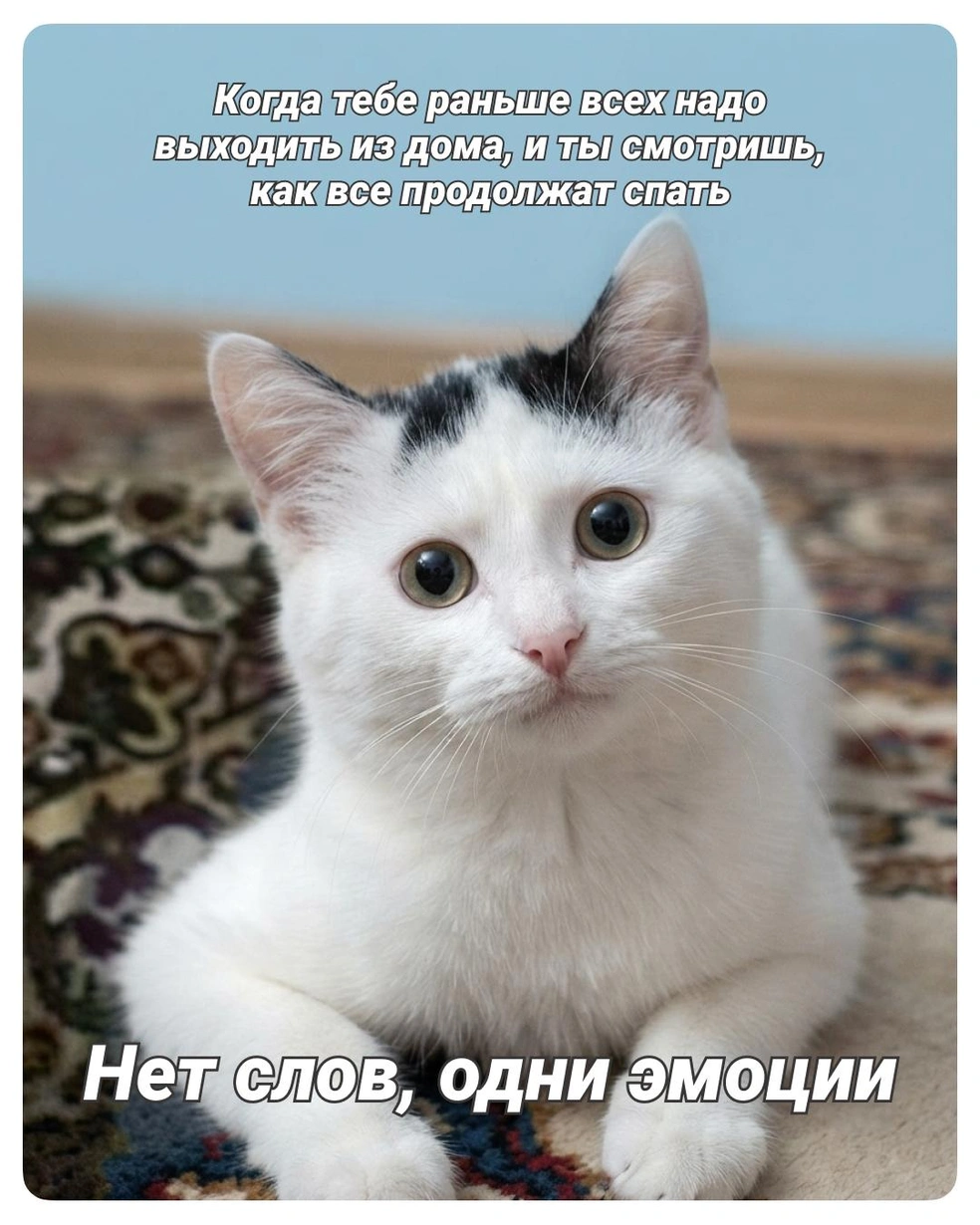 Действительно неприятно | Источник: Полина Авдошина / Городские медиа