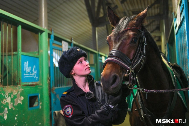 Конная полиция в Москве: первый специальный конный полк у метро