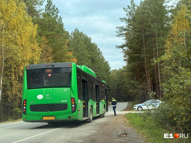 Силовики проверяли мимо проезжающие автобусы | Источник: Дарья Костомина / E1.RU