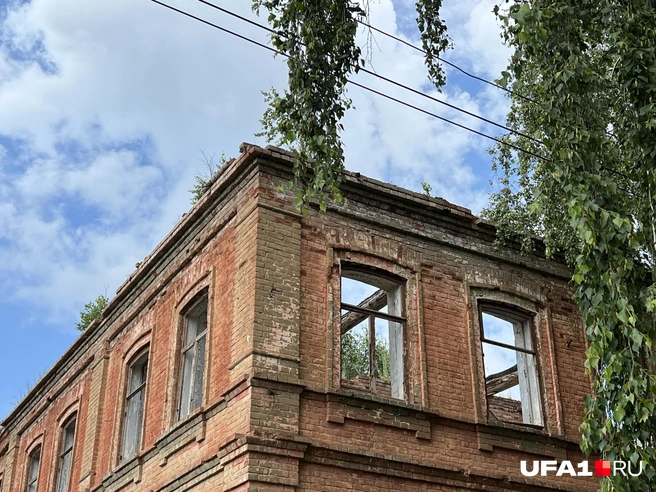 Трава уже наверху растёт | Источник: Андрей Бирюков / UFA1.RU