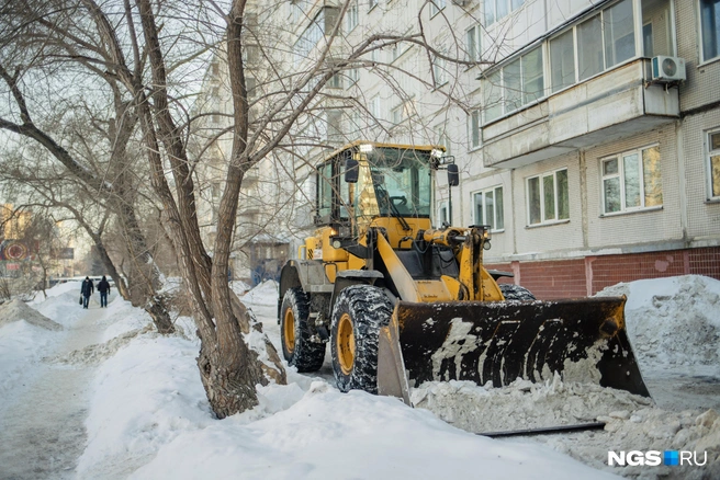 Сын фигурантки зарабатывал, давая в аренду спецтехнику для уборки проезжих частей | Источник: Алина Скитович / NGS.RU