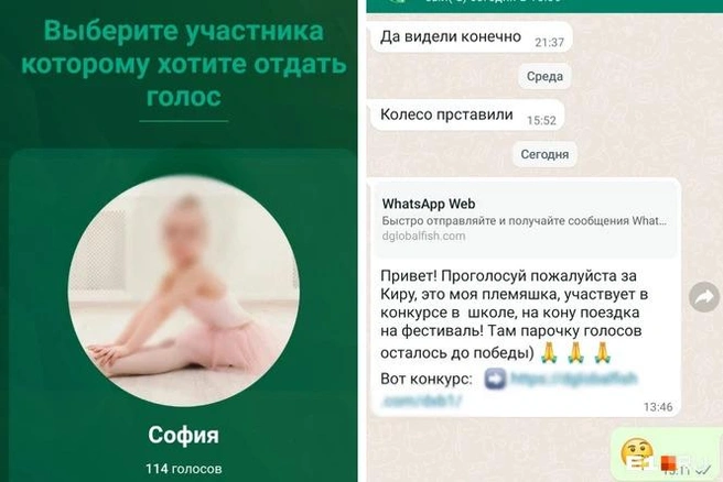 Примеры сообщений, которые получают уральцы | Источник: читатель E1.RU