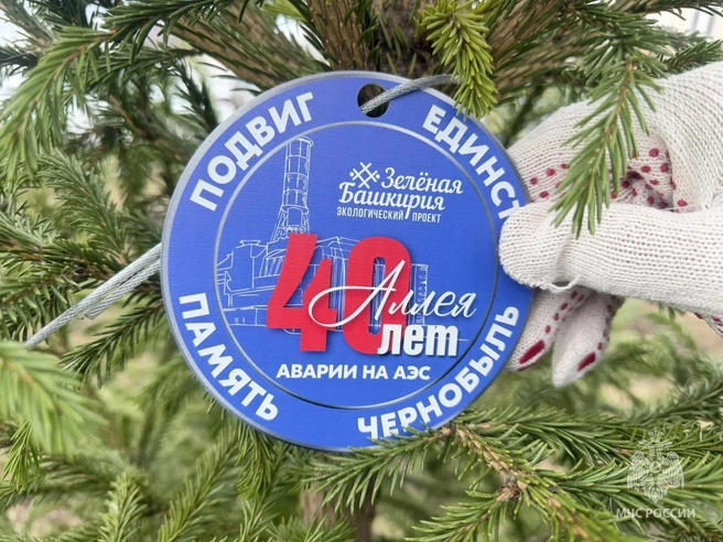 Источник: static.mchs.gov.ru