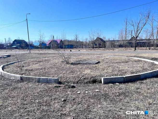Источник: Александр Хамраев / CHITA.RU