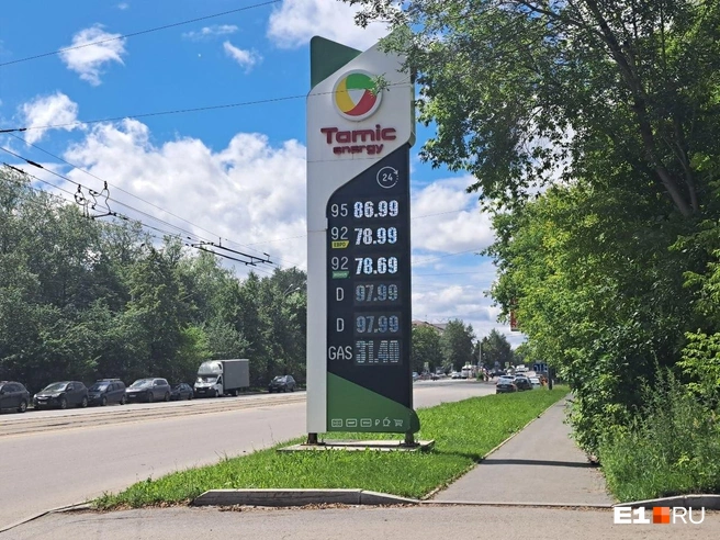 У сети Tamic Energy одни из самых высоких цен в городе | Источник: Кира Волкова / E1.RU