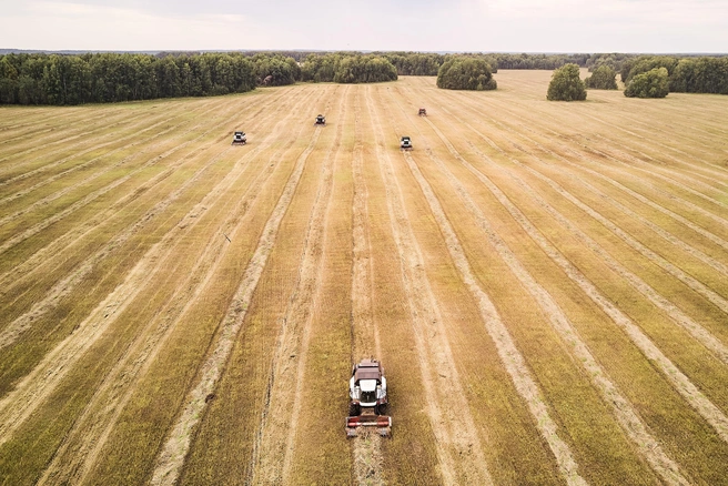 В Ленинск-Кузнецком округе намолотили уже 250 тысяч тонн зерна в бункерном весе | 142.ru