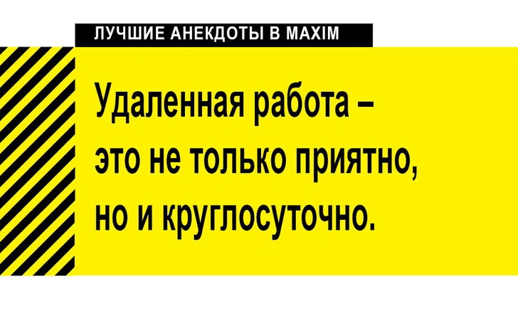 Лучшие анекдоты о фрилансерах и удаленке | maximonline.ru