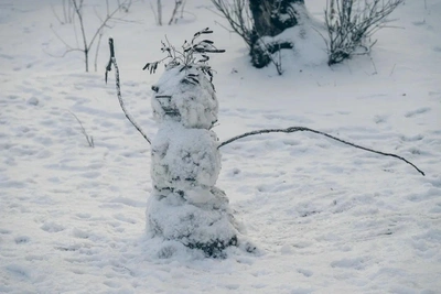 В Ростовской области 30 декабря ожидается метель