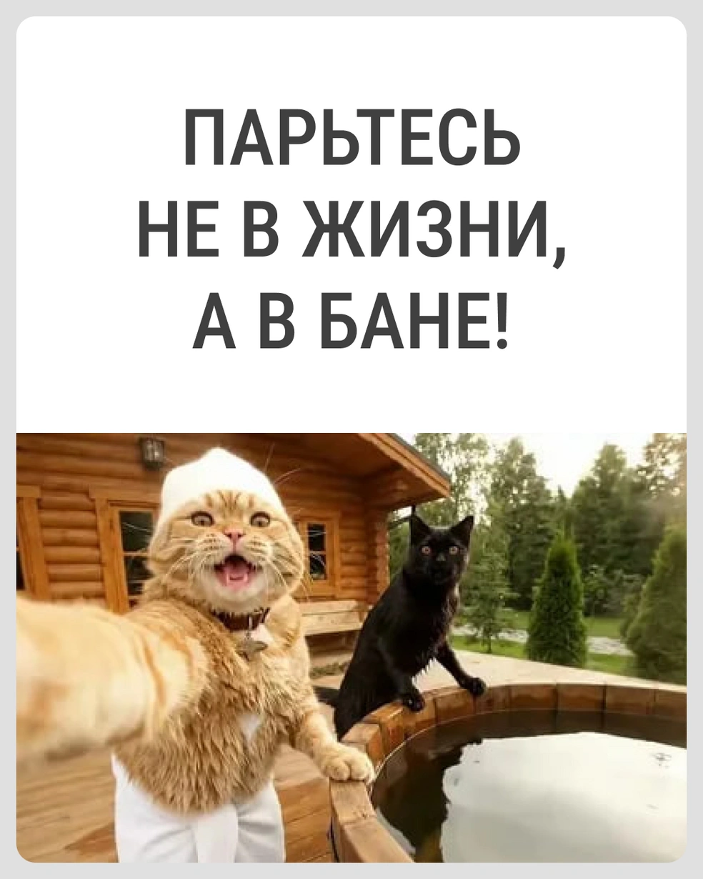 Отличный девиз! | Источник: Городские медиа