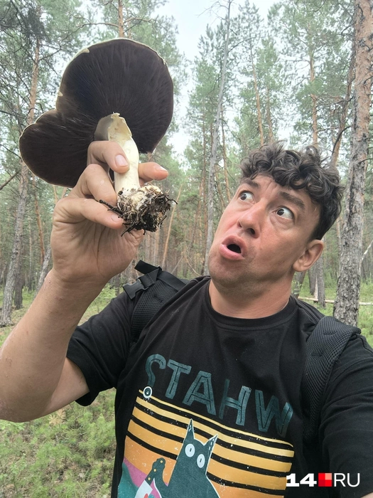 Дед Мороз любит ходить по грибы | Источник: Владимир Гоношенко