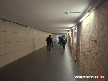 Источник: Алёна Воропаева / Voronezh1.ru