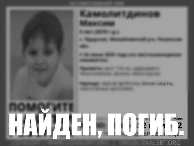 Погибший мальчик | Источник: ПСО «Лиза Алерт»