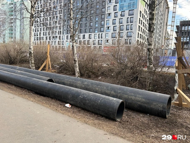 Источник: Кристина Полевая
