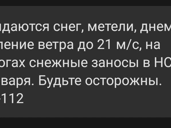 На дорогах возможны снежные заносы | Источник: НГС