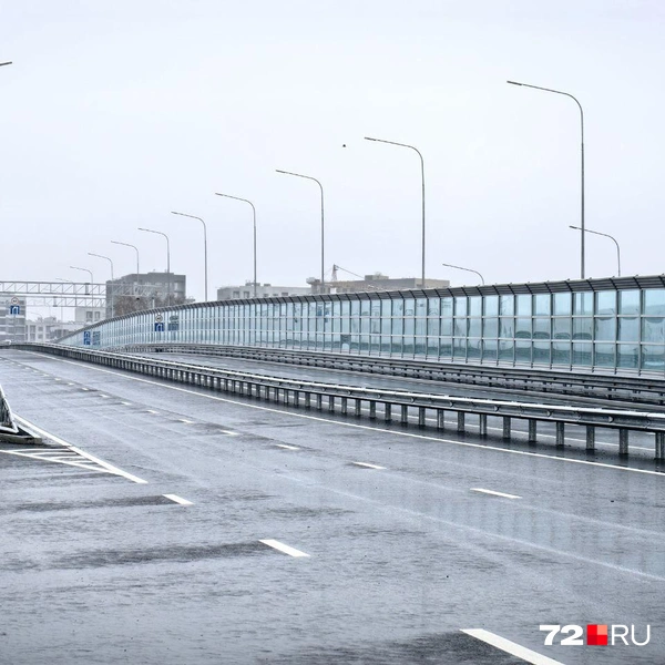 Источник: Павел Красоткин / 72.RU